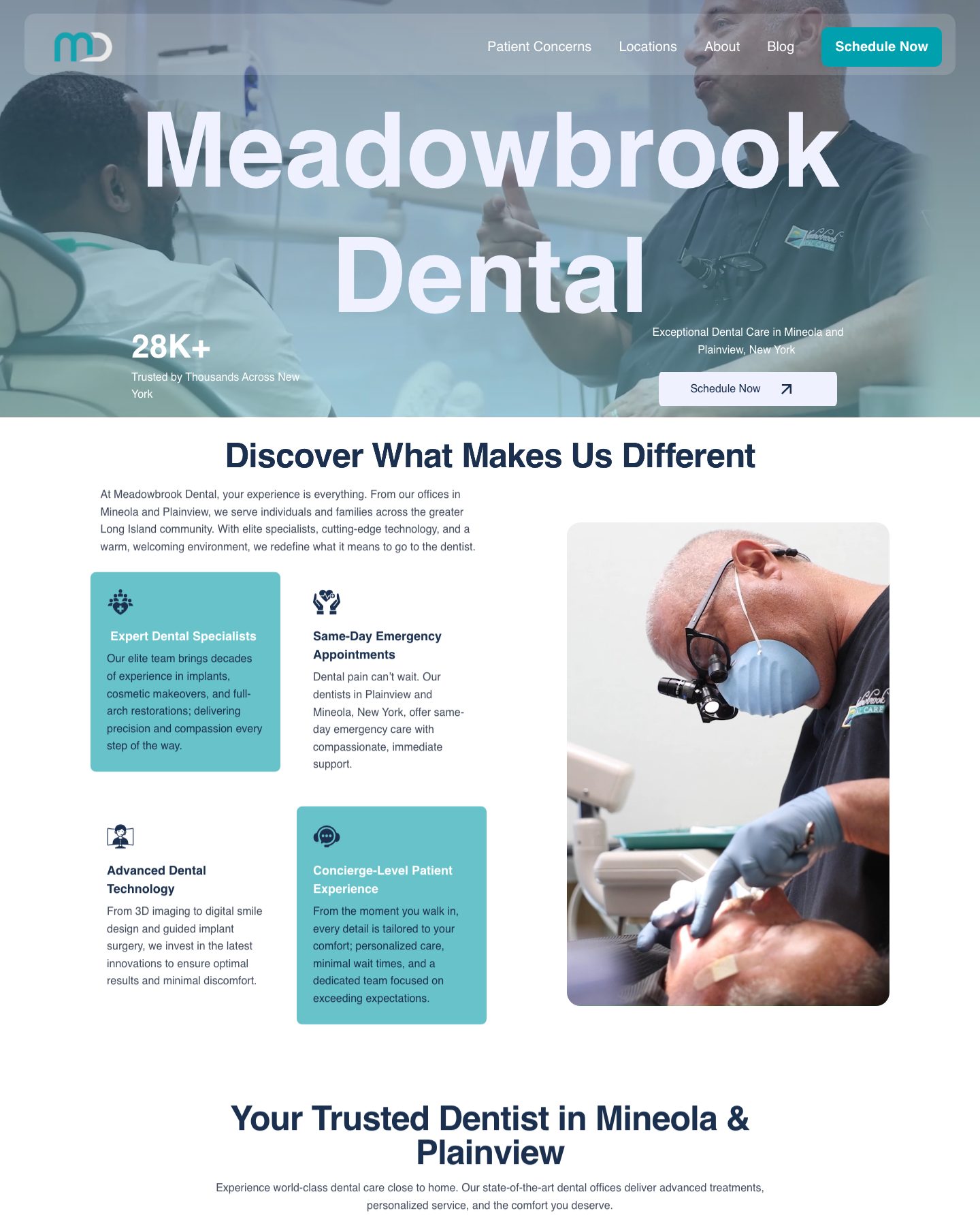 Meadowbrook dental website template preview